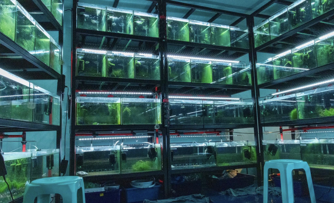 Licensed Breeding Facility photo 5