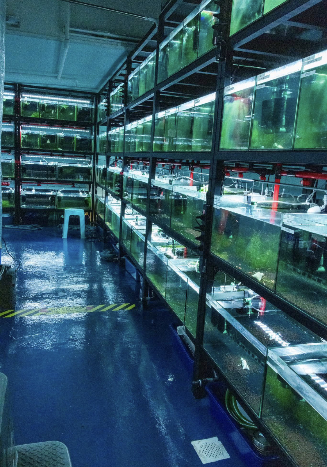 Licensed Breeding Facility photo 2