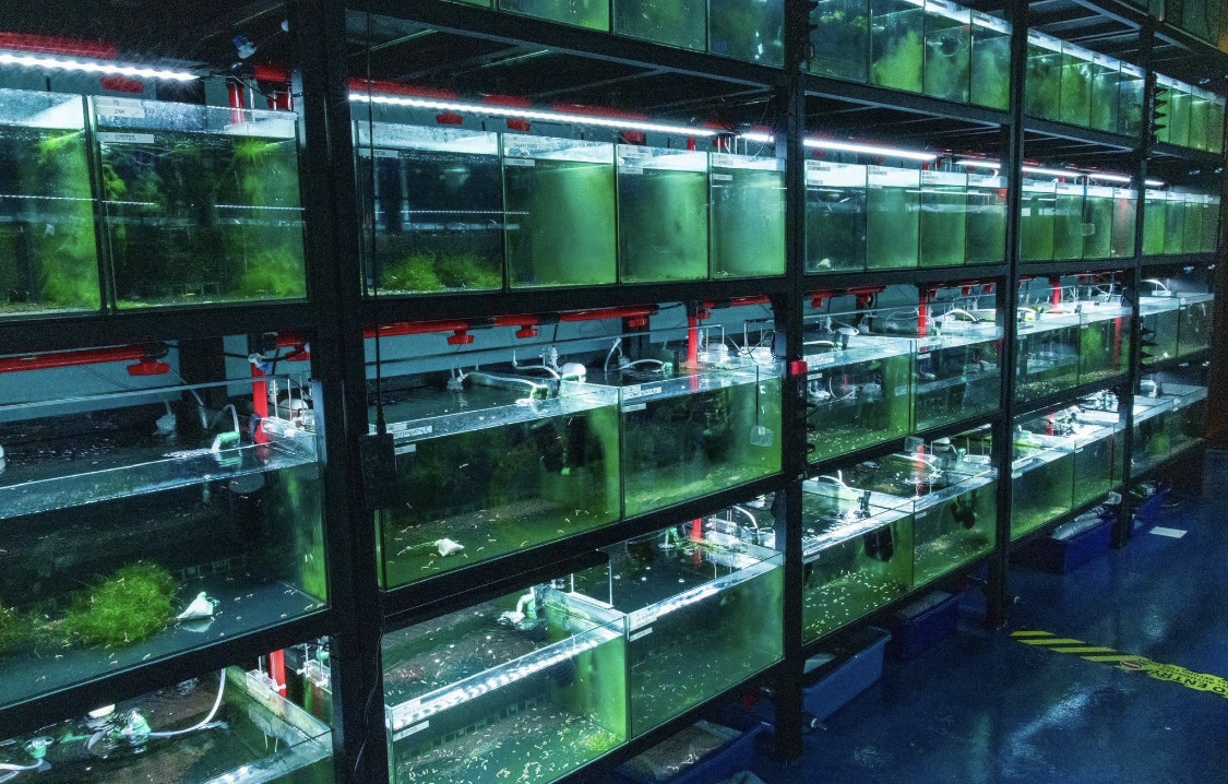 Licensed Breeding Facility photo 4