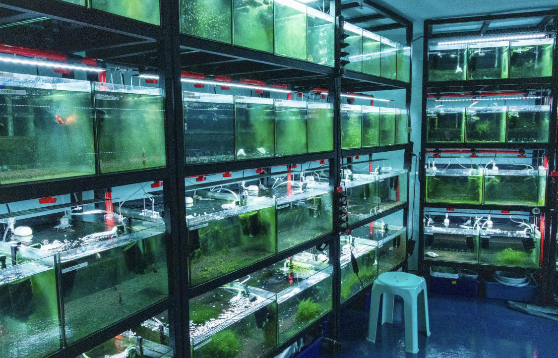 Licensed Breeding Facility photo 3
