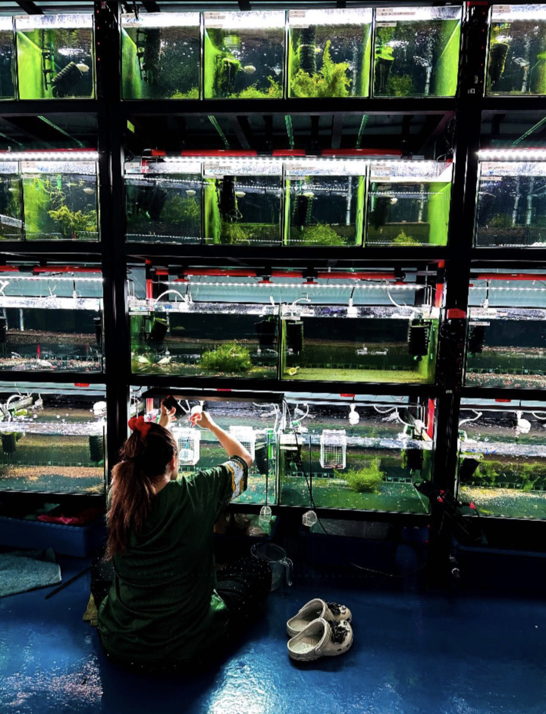 Licensed Breeding Facility photo 1